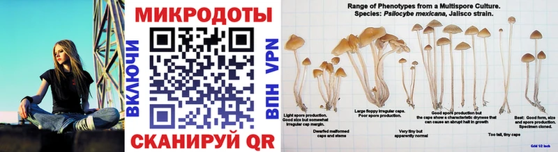 Галлюциногенные грибы ЛСД  гидра онион  Чистополь 