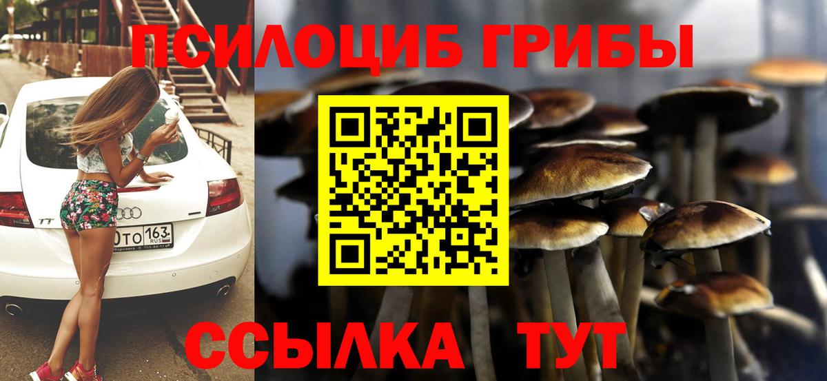 Псилоцибиновые грибы ЛСД  Псилоцибиновые грибы ЛСД  Вход с VPN  Чистополь 